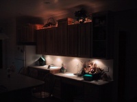 IMG_0426_mid.jpg