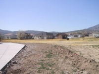 STE_0487_mid.jpg