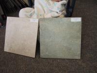 IMG_0630_mid.jpg