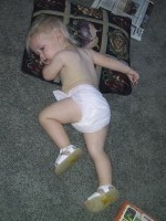 IMG_2244_mid.jpg