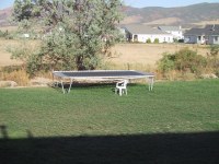 IMG_2249_mid.jpg