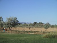 IMG_2250_mid.jpg