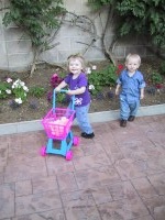 IMG_2260_mid.jpg