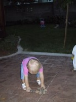 IMG_2287_mid.jpg