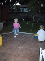 IMG_2288_mid.jpg