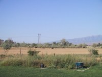 STC_2253_mid.jpg