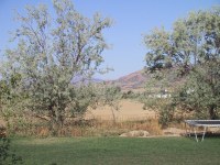 STE_2255_mid.jpg