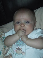 IMG_0143_mid.jpg