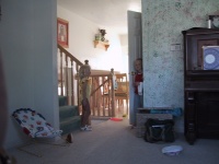IMG_0152_mid.jpg