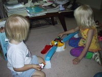 IMG_0163_mid.jpg