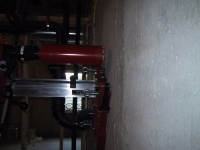 IMG_0182_mid.jpg