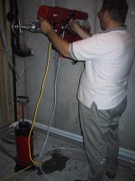 IMG_0184_mid.jpg