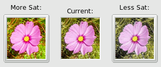 The saturation option of the “Filterpack” filter
