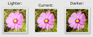 Value option of the “Filterpack” filter